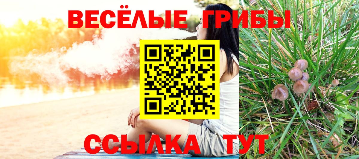 Псилоцибиновые грибы Magic Shrooms Алатырь